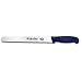 Victorinox Cutlery 10-Inch Slicing Knife, Blue Fibrox Handle with Microban