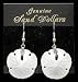 Genuine Sand Dollar Drop Earrings- Brand New