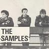Image of Samples