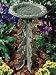 Butterfly Birdbath and Pedestal