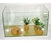 Glasaquarium 30