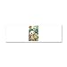 21 x 7 Wall Vinyl Sticker Animal Kingdom Collage
