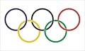 BIG OLYMPIC SUMMER WINTER GAMES FLAG