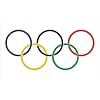 BIG OLYMPIC SUMMER WINTER GAMES FLAG