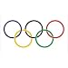BIG OLYMPIC SUMMER WINTER GAMES FLAG
