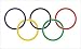 BIG OLYMPIC SUMMER WINTER GAMES FLAG