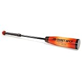 SKLZ SweetSpot Bat