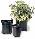 Elite Nursery Container - Three Gallon Black, 10 per bundle