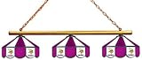 Imperial Minnesota Vikings Glass 3 Shade Lamp (18-1107)