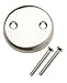Plumb Pak Corporation ACE826-11BN "Ace" Two Hole Faceplate