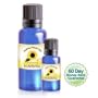 Arthritic Pain Relief, H-Arthritis Treatment, Natural Osteoarthritis Formula 33ml