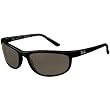 Ray-Ban RB2027 Predator 2 Icons Polarized Race Wear Sunglasses