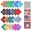 Urban Boundaries 100% Cotton Bandanna