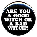 1" Wizard of Oz "Good Witch or a Bad Witch?" Button/Pin