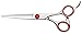 Professional Hair Cutting Scissors/Shears 6