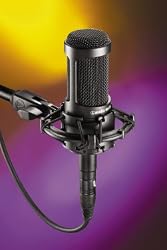 Audio-Technica AT2035 Large Diaphragm Studio Condenser Microphone