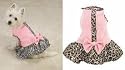 Sugar and Spice Dog Dress MEDIUM - Sugar and Spice Dog Dress