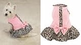 Sugar and Spice Dog Dress