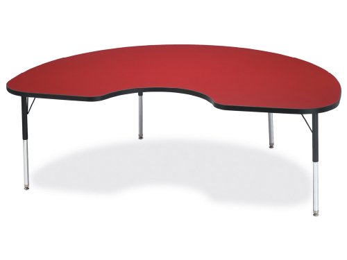KYDZ Activity Table- Kidney (48