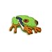 Frosch - frog, style your Crocs Fun Clips