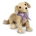 American Girl Kailey's Sandy the Dog