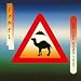 On the Road 1981 (Mini Lp Sleeve)