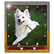 Dogs American Eskimo - American Eskimo - Desk Clocks