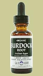 Burdock Root Extract - 2 oz - Liquid