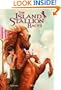 Island Stallion Races