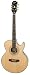 Epiphone PR-5E Acoustic-Electric Guitar, Shadow Preamp, Natural