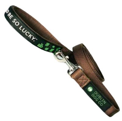 Dublin Dog Nylon Leash, 5 Feet Long, 5/8 Inches Width, Brown