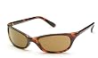 Smith Sunglasses TOASTER POLARIZED TORTOISE BROWN Sunglasses