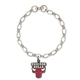 Chicago Bulls Official Logo 7