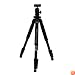Dolica AX620B100 62-Inch Proline Tripod and Ball Head