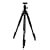 Dolica AX620B100 62-Inch Proline Tripod and Ball Head