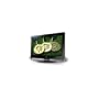 Vizio VW26LHDTV20F 26 in 1080P HDTV Wide Screen LCD TV