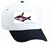 White Cap with sea, scientific, fish, aquarium