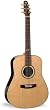 Seagull Artist Studio with Quantum II Electronics Acoustic/Electric and Deluxe Tric Case