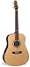 Seagull Artist Studio Acoustic Guitar with Deluxe Tric