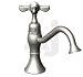 Rubinet Raven 8FRBRVC Single Cross Handle Drinking Water Faucet with 3 11/16" Spout Height and 5 5/8" Reach: Custom Finishes