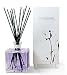 Infusion Organique Sands of Morocco Scent Diffuser - 470ml