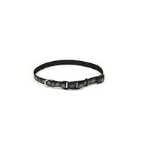 Coastal Pet 46341 SCB12 Lazer Brite Reflective Adjustable Dog Collar, Adjusts from 8-12-Inch and 3/8-Inch Wide