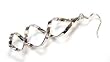 Sterling Silver Earrings (Rodium Plated)