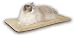 31xjiUQQYrL. SL75  Buy Cat Arthritis Beds