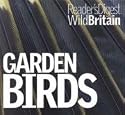 Garden Birds (Wild Britain) (Wild Britain)