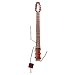 Ministar AMS-CASTAR Electric Guitar with 3 Single Coil Pickups (6 String, Mahogany, 25.5 Scale)