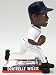 DETROIT TIGERS DONTRELLE WILLIS ON FIELD BOBBLEHEAD