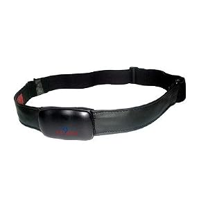 Standard HR Transmitter with Conductive Fabric Belt