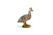 Schleich Farm Life 13653 Ente