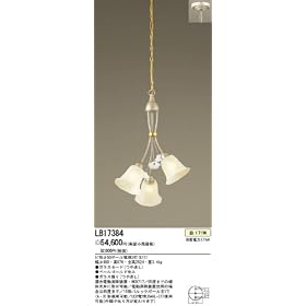 LB17384 ���t�݉��^ ���M�� ���������p�V�����f���A Bouquet�i�u�[�P�j �p�i�\�j�b�N�d�H Panasonic